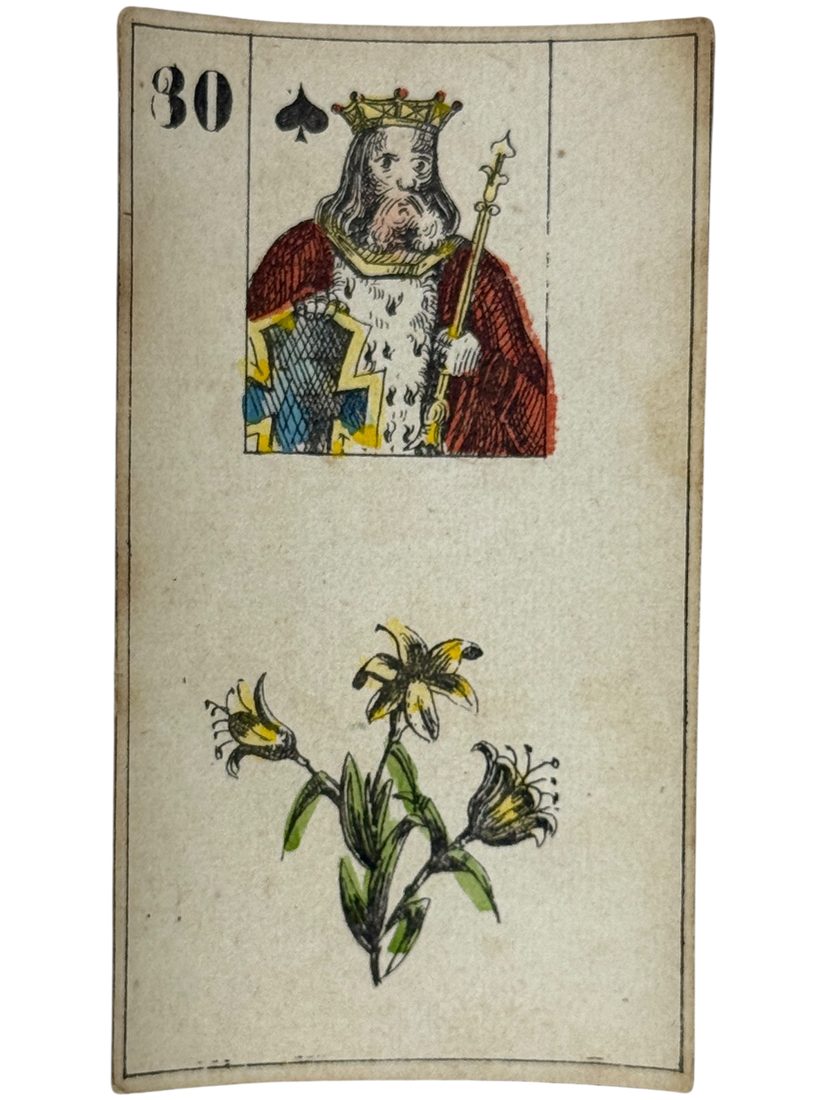 De Waarzegster Mlle Lenormand (36 oracle cards) — 11