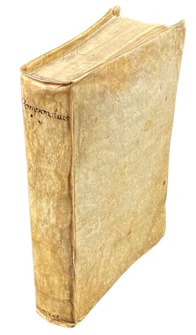 De naturalium effectuum causis, sive de Incantationibus — 2