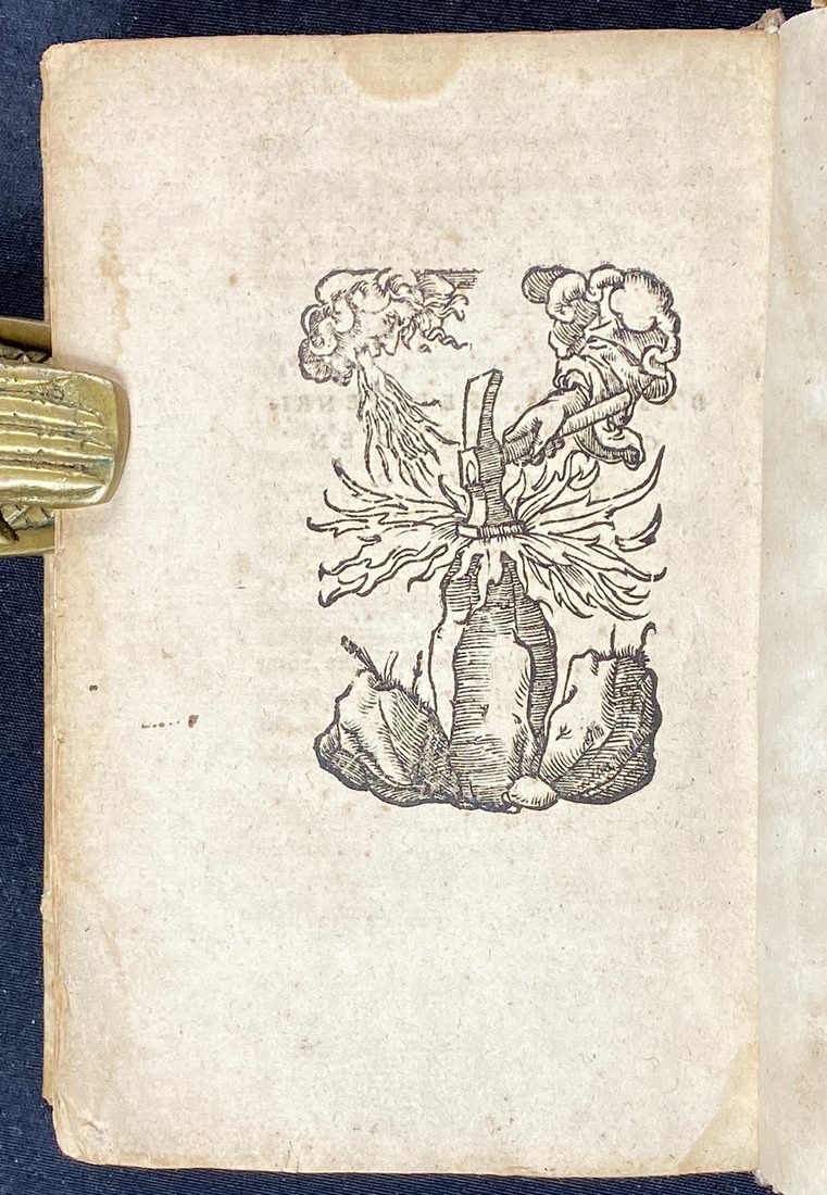 De naturalium effectuum causis, sive de Incantationibus — 8