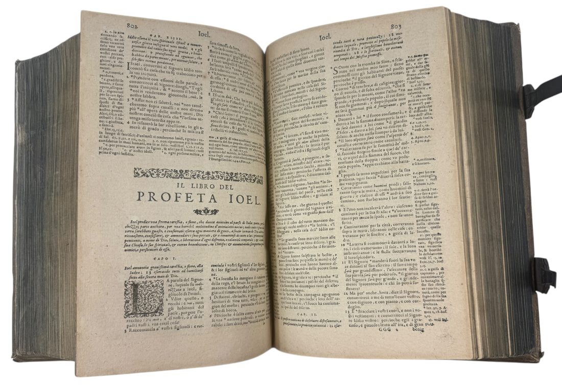 La Bibbia, cioe i libri del Vecchio e del Nuovo Testamento — 11