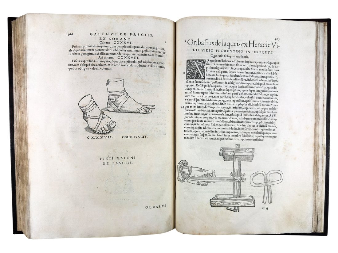 Chirurgia e Graeco in Latinum conversa — 14