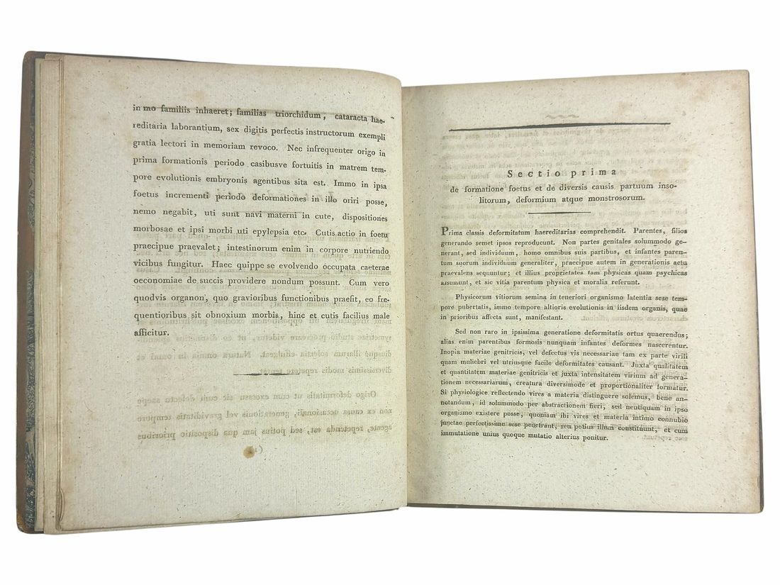 De Hermaphroditorum Natura — 7