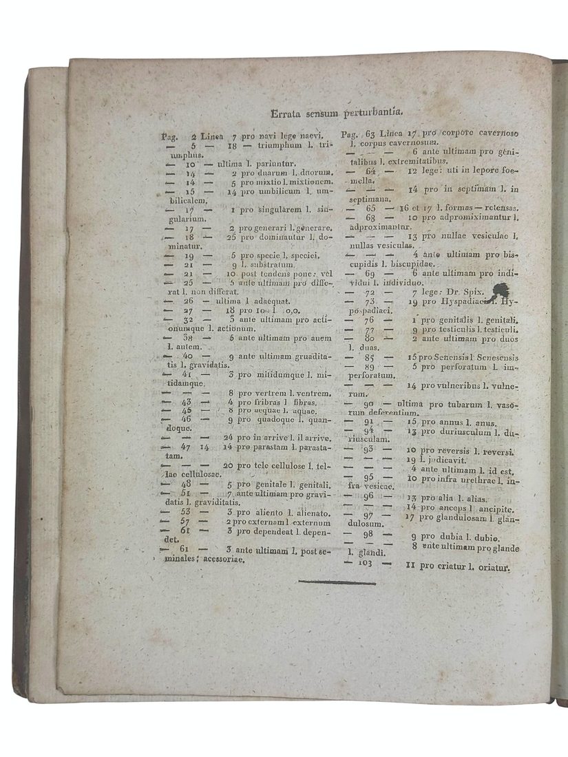 De Hermaphroditorum Natura — 17