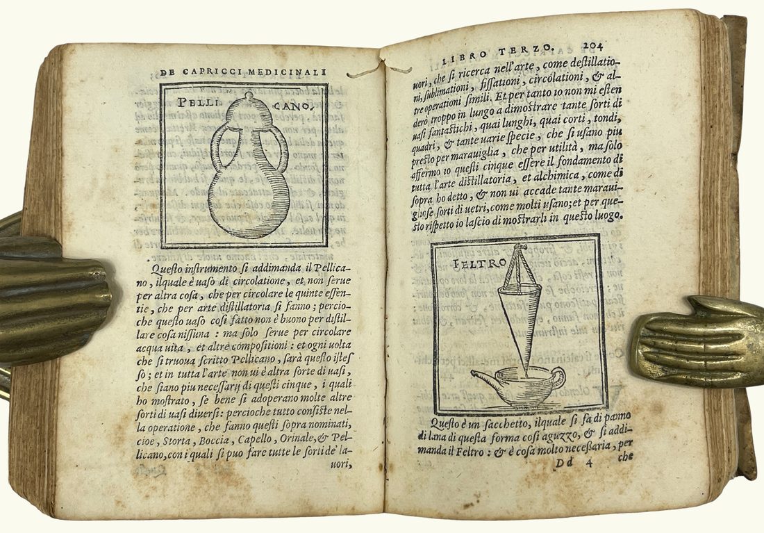 De capricci medicinali dell'eccellente medico — 12