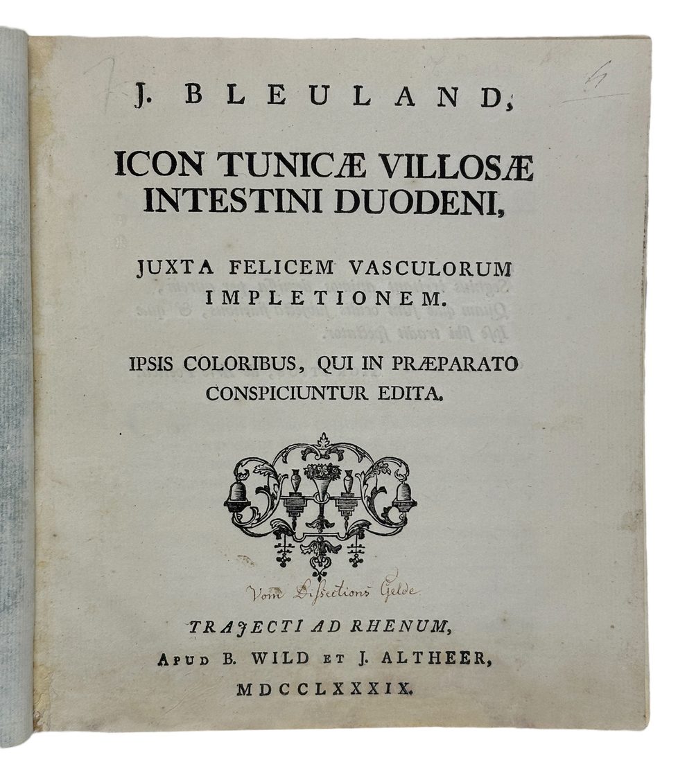 Icon tunicæ villosæ intestini duodeni — 2