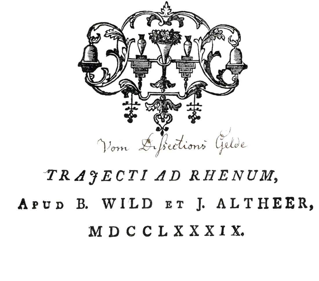 Icon tunicæ villosæ intestini duodeni — 3