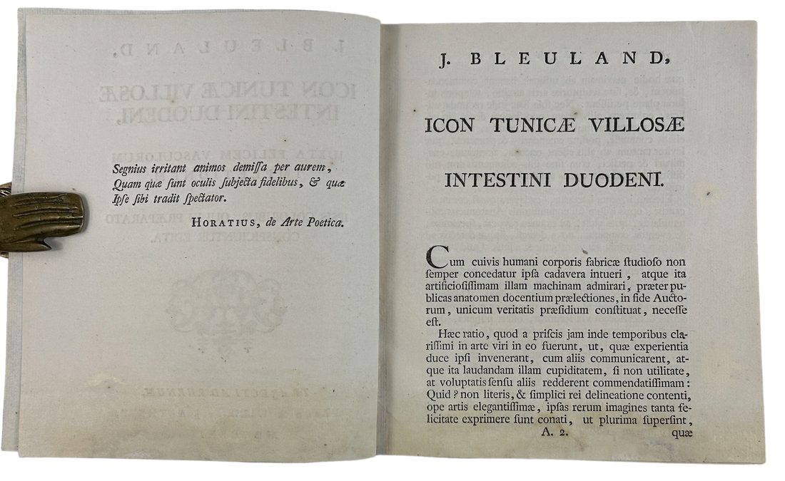 Icon tunicæ villosæ intestini duodeni — 4