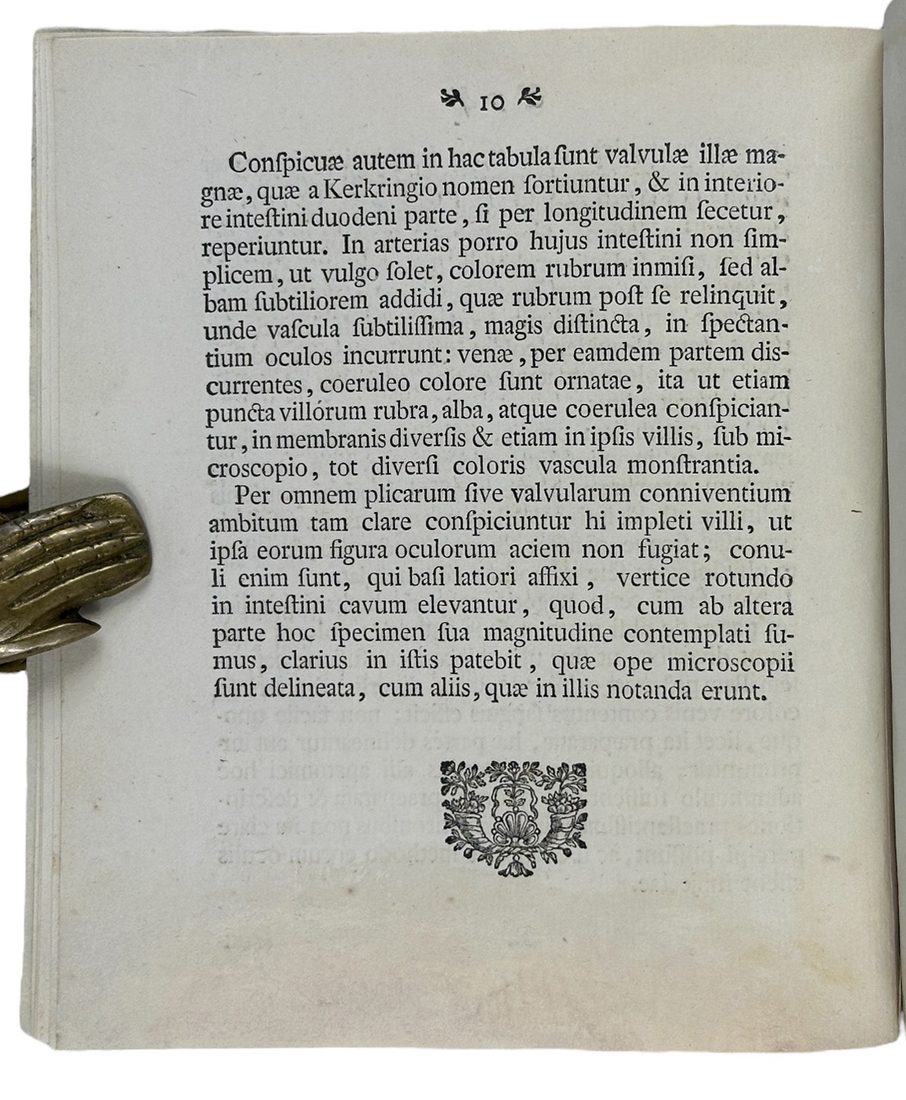 Icon tunicæ villosæ intestini duodeni — 6