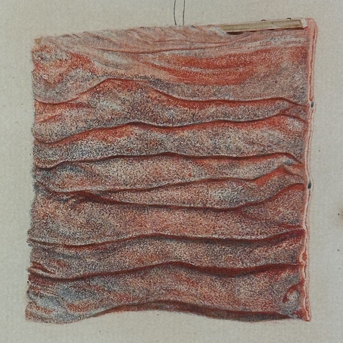 Icon tunicæ villosæ intestini duodeni — 7